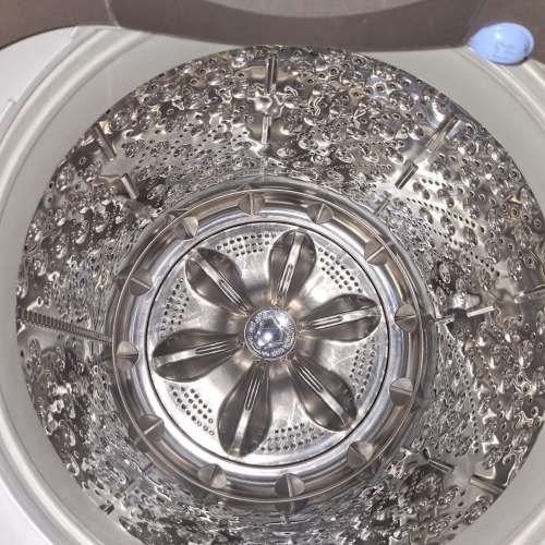L G 樂金10公升變頻蒸氣洗衣機