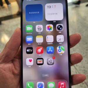 港行 iPhone 12 Pro Max 256GB