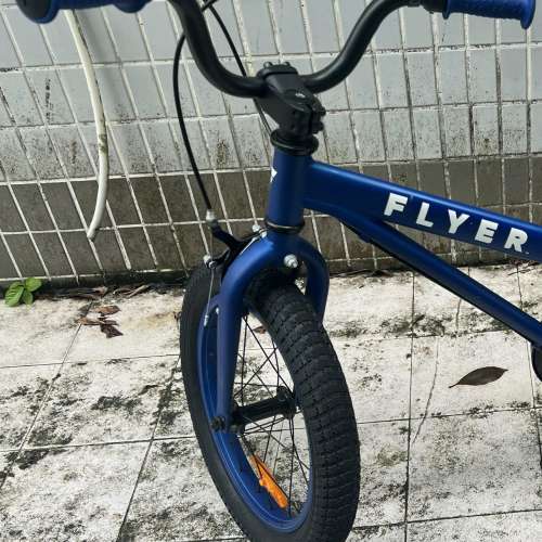 Flyer&trade; 16 英吋單車(約 40.6 公分) 幼兒和兒童自行車,平衡單車, 附訓練輪 HK$150.00