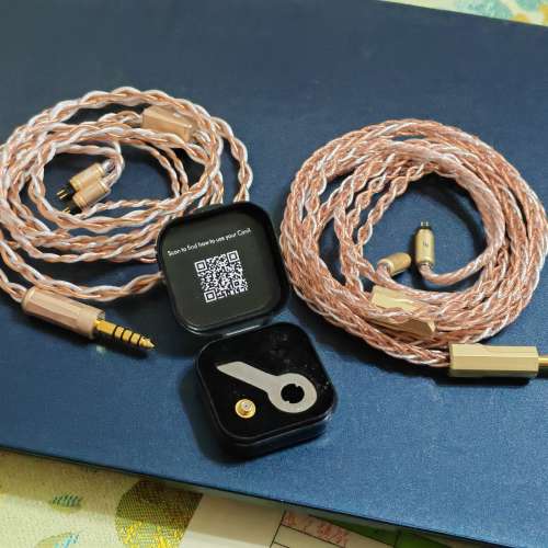 兩條Effect x Eddie 新淨全正常 送conX basic mmcx