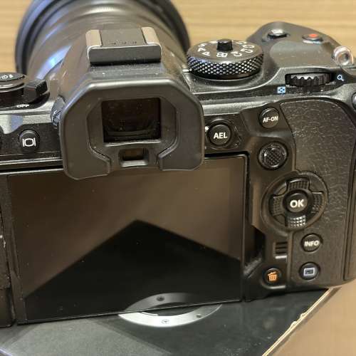 Olympus OMD OM-1 with 12-100mm F4