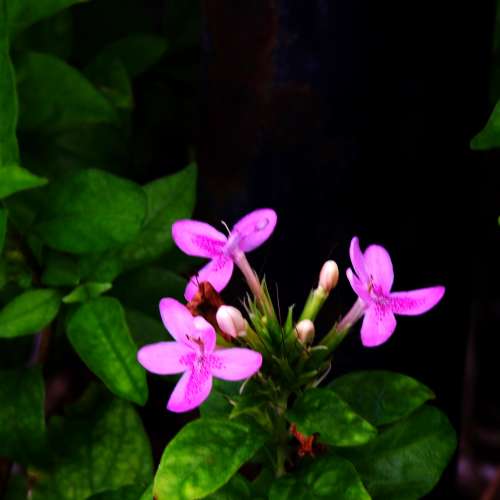 放逾90%新無花無 MO 兼少少塵NIKON AF VR 80-400mm 4.5-5.6D鏡=$3200