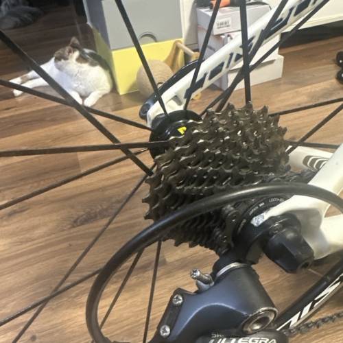 全碳纖Giant TCR Composite 2