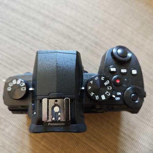 Panasonic Lumix G95