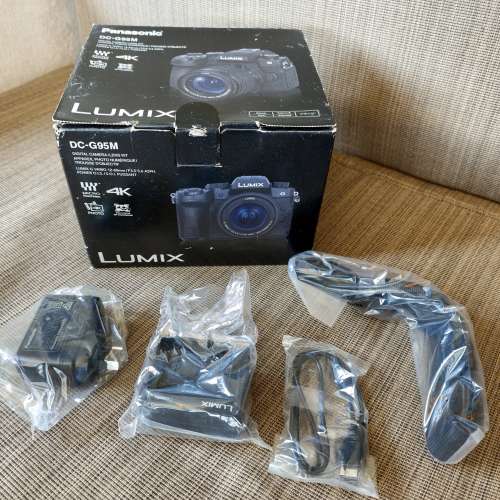 Panasonic Lumix G95