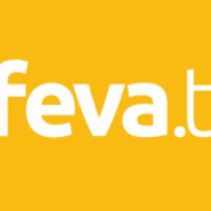 i-FEVA FevaWorks 網上視像課程