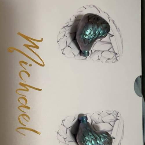ARTIPICAL Michael In-Ear Monitors IEMs 米迦勒有線耳機