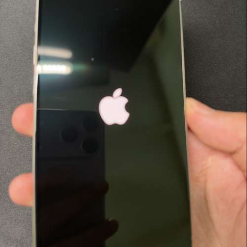 Apple iPhone 15 Pro 256G Natural titanium 鈦金屬原色