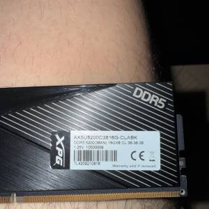 ADATA DDR5 5200 CL38 32GB (16GB*2) [intel only]