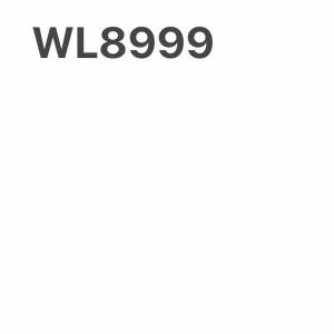 車牌 WL8999