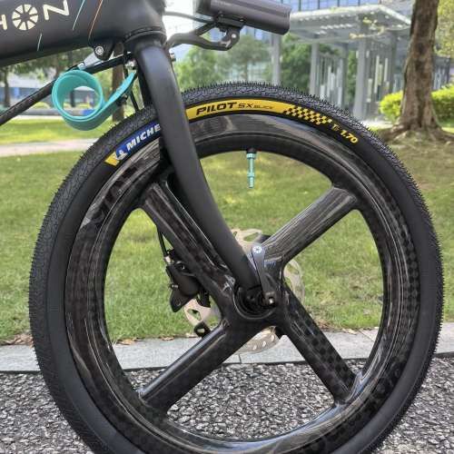 靚價 ( DAHON 大行 X GOFONDA 碳四刀 改裝分享 ) GOFONDO 20吋 406 碟剎快拆版 碳...