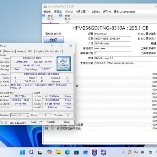 Acer XC-885,i5 9500,16G ram,256G SSD,1TB HD,DVDRW, WIFI,BT,Win11