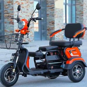 3 Wheels Electric Tricycle 2000W Adults