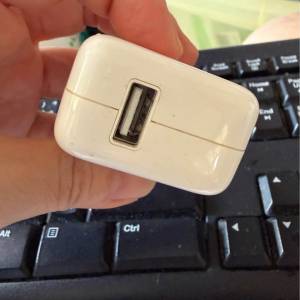 Apple USB power adapter 10W 充電器