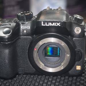Panasonic GH3 操作正常 配件齊全 70%new