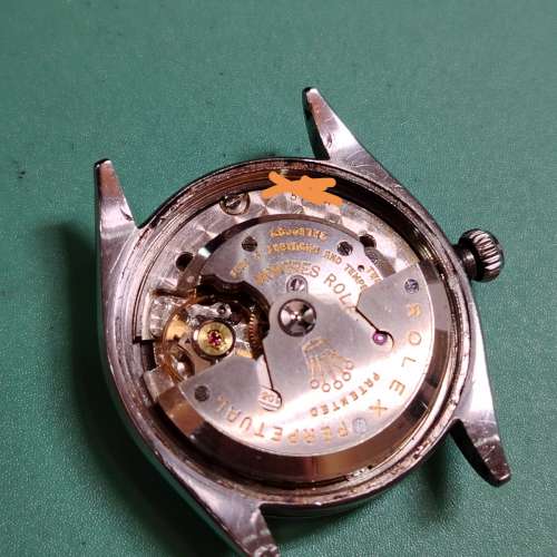 💯五十代年古董 ROLEX 6564, 34mm, 超靚奶白面，cal 1030自動蝴蝶陀，對期勞力士十...