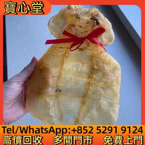 高價回收 野生金蘭赤嘴母老魚膠，花膠，魚膠，魚肚，老花膠，陳年花膠，鳘魚膠，北...