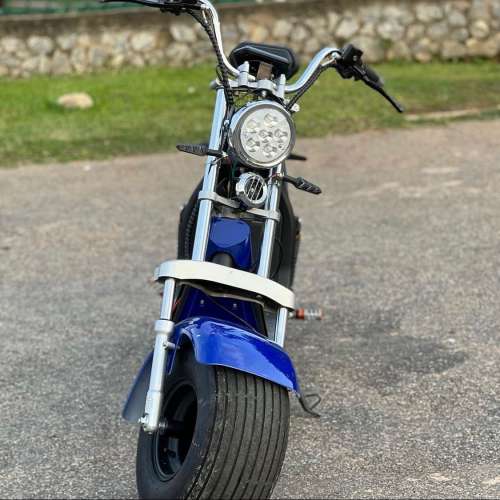 Electric Citycoco 3000W Motorcycle Scooter