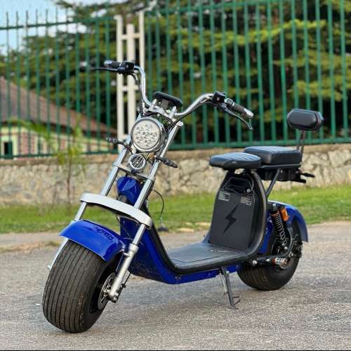 Electric Citycoco 3000W Motorcycle Scooter
