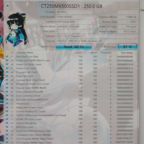 Crucial 256GB SATA SSD Drive
