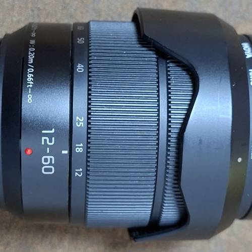 Panasonic Lumix G Vario 12-60mm f/3.5-5.6 ASPH POWER O.I.S. 鏡頭