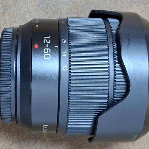 Panasonic Lumix G Vario 12-60mm f/3.5-5.6 ASPH POWER O.I.S. 鏡頭