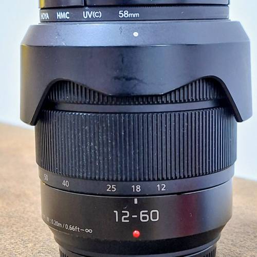 Panasonic Lumix G Vario 12-60mm f/3.5-5.6 ASPH POWER O.I.S. 鏡頭
