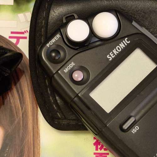 Sekonic L308s