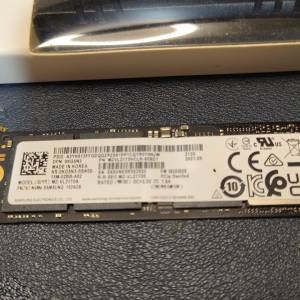 Samsung 三星 PM9A1 M.2 Gen4 NVMe SSD 1TB