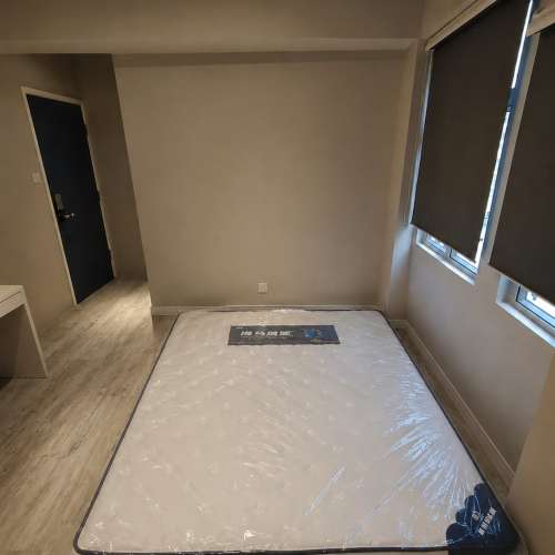 Brand New Spring Mattress