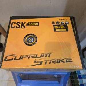 Antec CSK 650W 電腦火牛