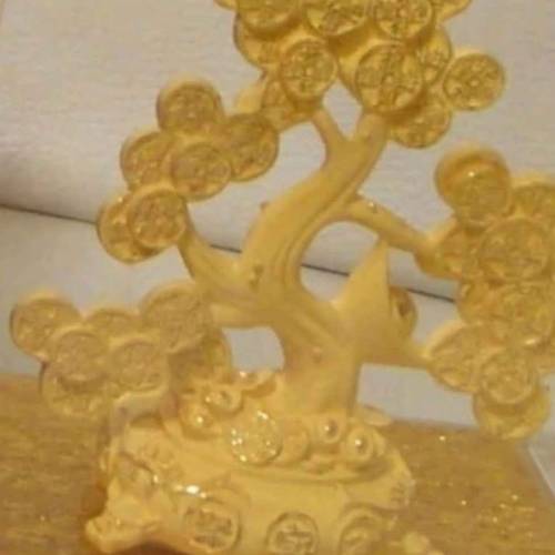 金錢樹