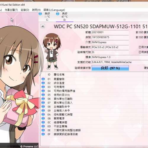 WD PC SN520 NVMe SDAPNUW-512GB-1101  M.2 2242