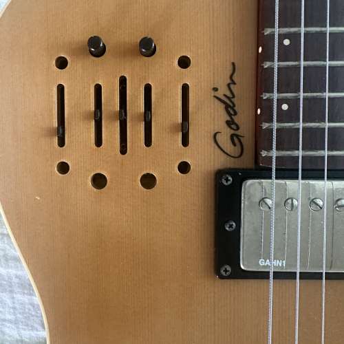 Godin A6 Ultra 電木結他