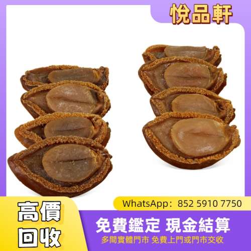 收藏約15年4頭野生極品溏心大網鮑 花膠 燕窩 魚翅 干貝 幹鮑魚 鮑魚 海參 刺參 老參...
