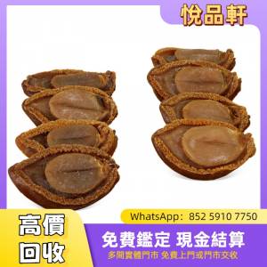 收藏約15年4頭野生極品溏心大網鮑 花膠 燕窩 魚翅 干貝 幹鮑魚 鮑魚 海參 刺參 老參...