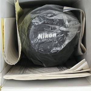 Nikko Len