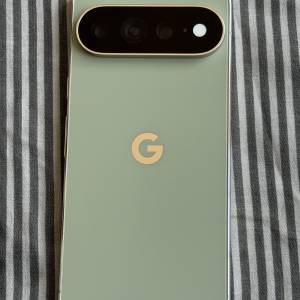 台版 Google Pixel 11 Pro XL (512gb/Olive綠色)