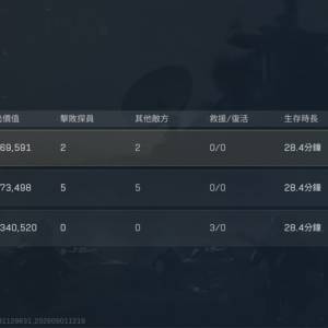 三角洲國際服護航(純綠）