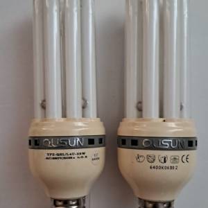 大慳電膽2個 E27 白光 35w