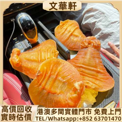 回收：陳年花膠 花膠 赤嘴鳯魚膠 赤嘴鰩魚膠 金錢鰲 極品正南公 鳘魚膠 大須金錢膠 ...