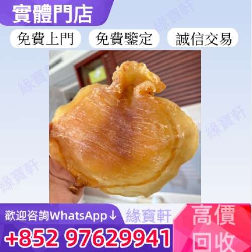 門店高價收購花膠，舊花膠，厚肚花膠，紅肚，魚膠，金錢膠，赤嘴膠，老花膠，石肚，...