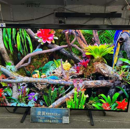 48吋 4K OLED SMART TV 三星48S90F 智能電視