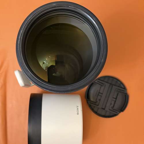 Sony FE200-600mm F5.6-6.3 G OSS鏡頭