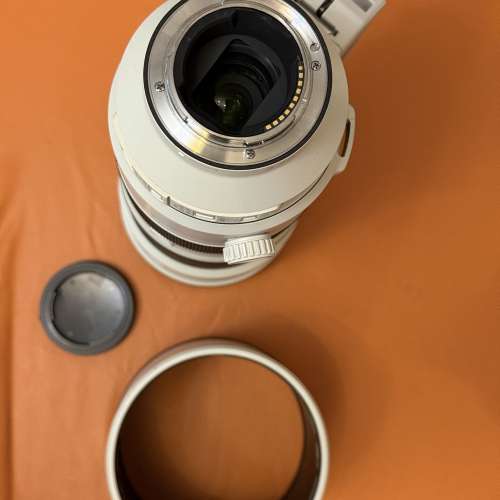 Sony FE200-600mm F5.6-6.3 G OSS鏡頭