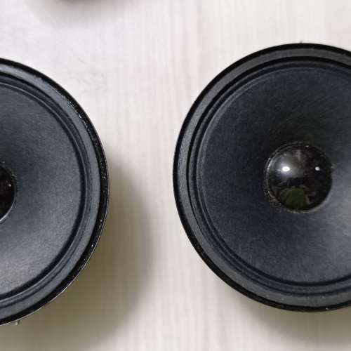 Bose 301 三吋中音喇叭