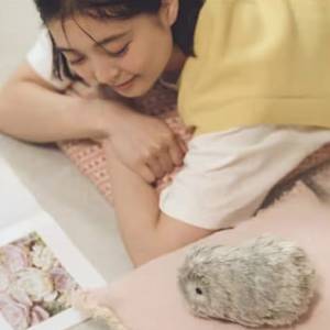 Casio  AI 機器人寵物 Moflin 接近全新