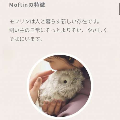 Casio  AI 機器人寵物 Moflin 接近全新