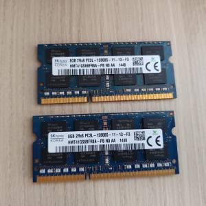 SKHynix  DDR3 1866 8GB X 2條