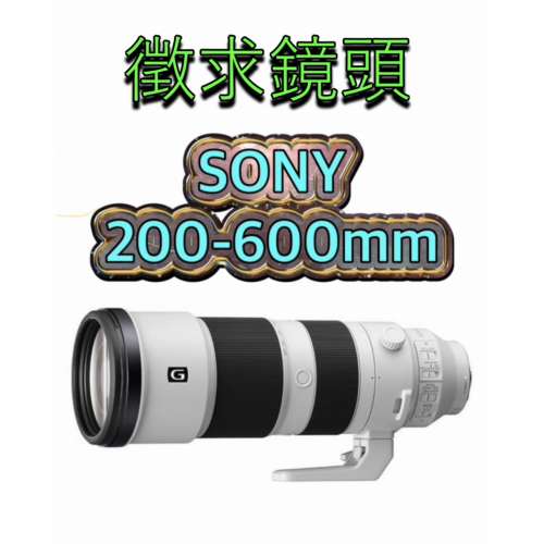 鏡頭 SONY 200-600mm